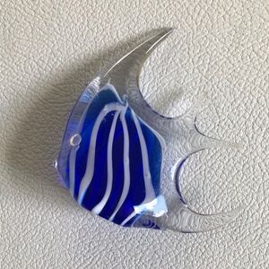 Blue Glass Angelfish